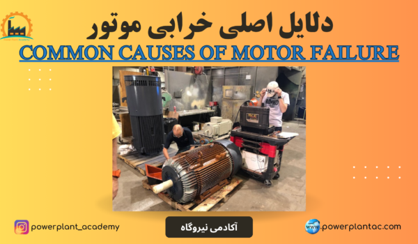 motor failure causes